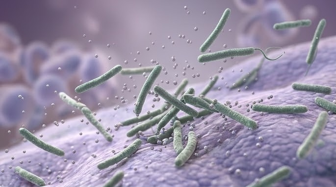 Zdroj pre zápach z klimatizácie - baktéria Legionella pneumophila v aerosóle
